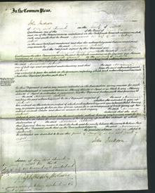 Court of Common Pleas - Marianna Rodwell-Original Ancestry