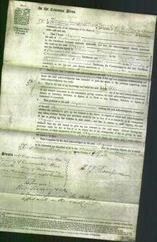 Court of Common Pleas - Agnes Airez