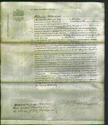 Court of Common Pleas - Mary Nicholson and Elizabeth Marman-Original Ancestry