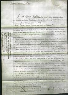 Court of Common Pleas - Maria Cordelia Beaver-Original Ancestry