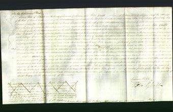 Court of Common Pleas - Christiana Deeble Williams-Original Ancestry