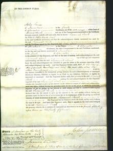 Court of Common Pleas - Susannah Sarah Wait-Original Ancestry