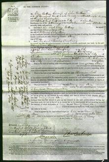 Court of Common Pleas - Mary Ann Steer-Original Ancestry