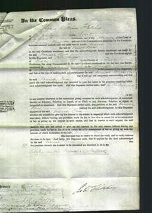 Court of Common Pleas - Hannah Price-Original Ancestry