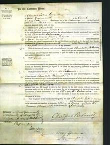 Court of Common Pleas - Charlotte Taliman-Original Ancestry