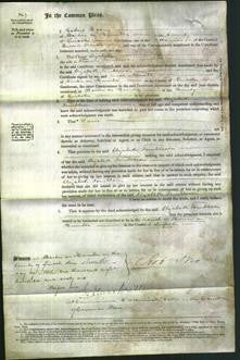 Court of Common Pleas - Elizabeth Tombleson-Original Ancestry