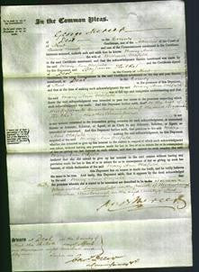 Court of Common Pleas - Mary Ann Oldfield-Original Ancestry