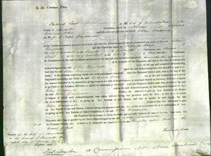 Court of Common Pleas - Ellen Beardmore-Original Ancestry