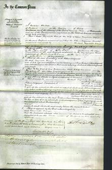 Court of Common Pleas - Elizabeth Baugh-Original Ancestry