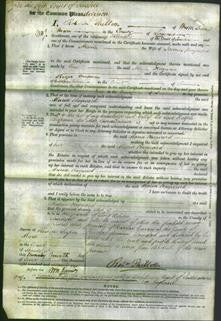 Court of Common Pleas - Maria Hayward-Original Ancestry