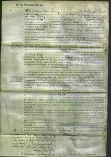 Court of Common Pleas - Elizabeth Spurrier-Original Ancestry