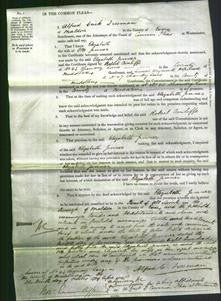 Court of Common Pleas - Elizabeth Jenner-Original Ancestry