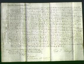 Court of Common Pleas - Emma Maria Wilhelmina Jacomb-Original Ancestry