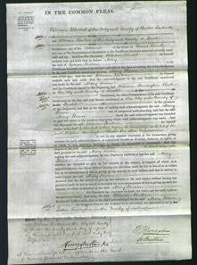 Court of Common Pleas - Mary Bacon-Original Ancestry