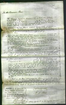 Court of Common Pleas - Charlotte Terry-Original Ancestry