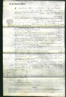 Court of Common Pleas - Mary Ann Ryde-Original Ancestry