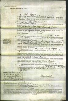 Court of Common Pleas - Charlotte Jane Davis-Original Ancestry