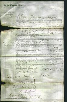 Court of Common Pleas - Mary Nutt-Original Ancestry
