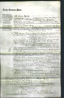 Court of Common Pleas - Harriet Ann Spofforth-Original Ancestry