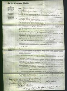 Court of Common Pleas - Mary MacLurcan-Original Ancestry