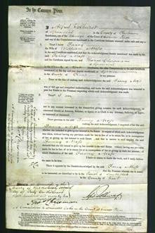 Court of Common Pleas - Fanny Moss-Original Ancestry