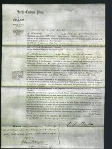 Court of Common Pleas - Maria Catherine Taylor-Original Ancestry