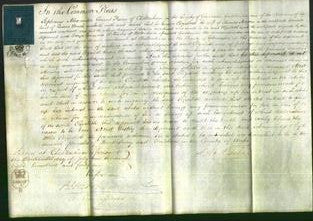 Court of Common Pleas - Elizabeth Morgan-Original Ancestry