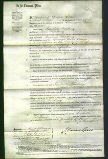 Court of Common Pleas - Isabella Fleckney-Original Ancestry