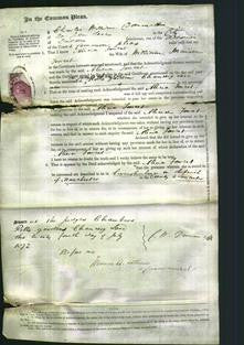 Court of Common Pleas - Alicia Forrest-Original Ancestry