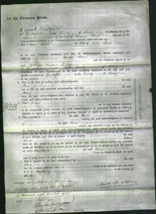 Court of Common Pleas - Clara Lewis-Original Ancestry