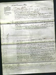 Court of Common Pleas - Elizabeth Flather-Original Ancestry