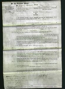 Court of Common Pleas - Ann Musgrave-Original Ancestry