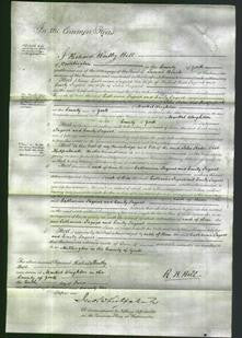 Court of Common Pleas - Catharine Jaques and Emily Jaques-Original Ancestry