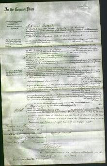 Court of Common Pleas - Elizabeth Languish-Original Ancestry