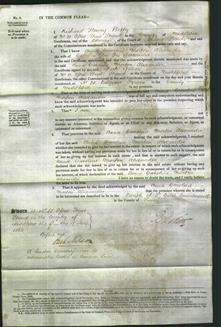 Court of Common Pleas - Anna Gardine Morton Alexander-Original Ancestry