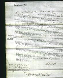 Court of Common Pleas - Jane Ann Lester-Original Ancestry