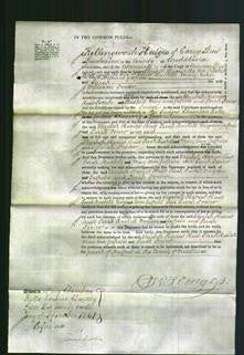 Court of Common Pleas - Elizabeth Harriett Huitt, Sarah Bushell, Mary Ann Galfied and Sarah Foster-Original Ancestry