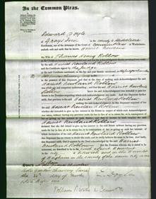 Court of Common Pleas - Harriet Newland Roblow-Original Ancestry