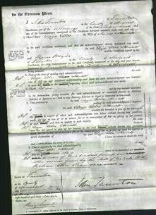 Court of Common Pleas - Eliza Ellis Hewett-Original Ancestry