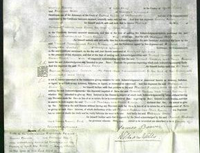 Court of Common Pleas - Harriet Bower Hudson and Sarah Bower Fieldhouse-Original Ancestry