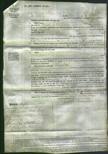 Court of Common Pleas - Elizabeth Jones-Original Ancestry