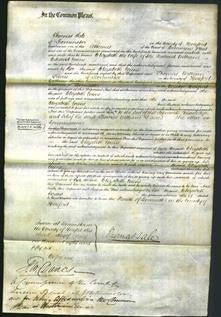Court of Common Pleas - Elizabeth Evans-Original Ancestry