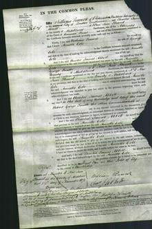 Court of Common Pleas - Annette Cole-Original Ancestry