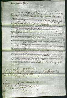 Court of Common Pleas - Frances Powell Ridley-Original Ancestry