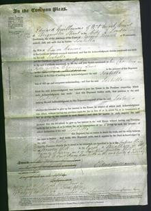 Court of Common Pleas - Isabella Croome-Original Ancestry