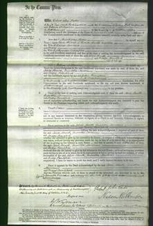 Court of Common Pleas - Alice Heath, Martha Devereux and Mary Bradford-Original Ancestry