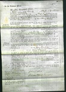 Court of Common Pleas - Mary Elizabeth Furley-Original Ancestry