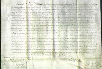 Court of Common Pleas - Mary Troutbeck-Original Ancestry