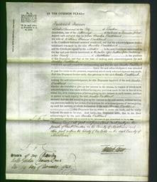 Court of Common Pleas - Amelia Buckland-Original Ancestry