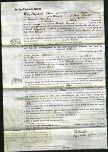 Court of Common Pleas - Ellen Tuke-Original Ancestry